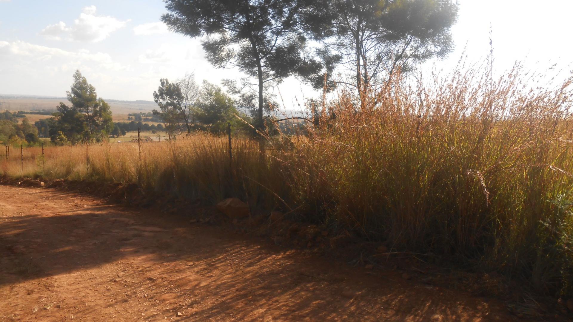 Spaces - 39 square meters of property in Rietfontein JR