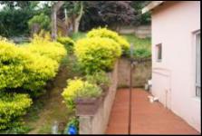 Backyard of property in Tongaat