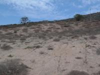 Backyard of property in St Helena Bay