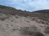 Backyard of property in St Helena Bay