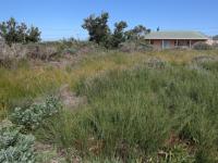 Front View of property in Bettys Bay