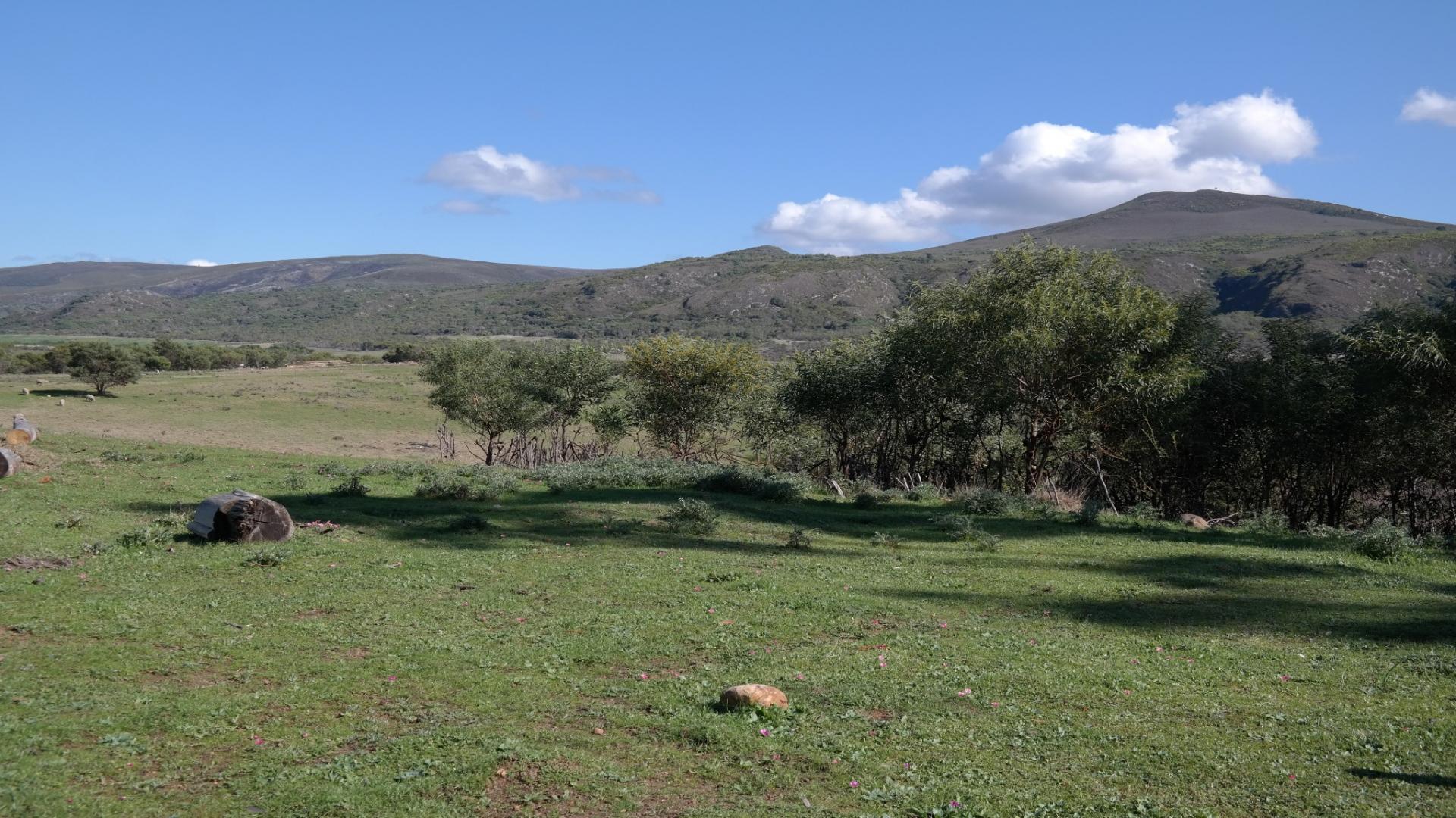 Backyard of property in Papiesvlei
