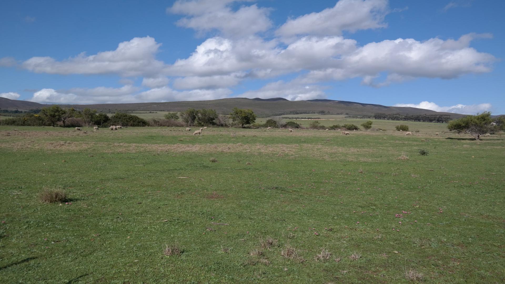 Backyard of property in Papiesvlei