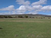 Backyard of property in Papiesvlei