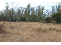 Land for Sale for sale in Bela-Bela (Warmbad)