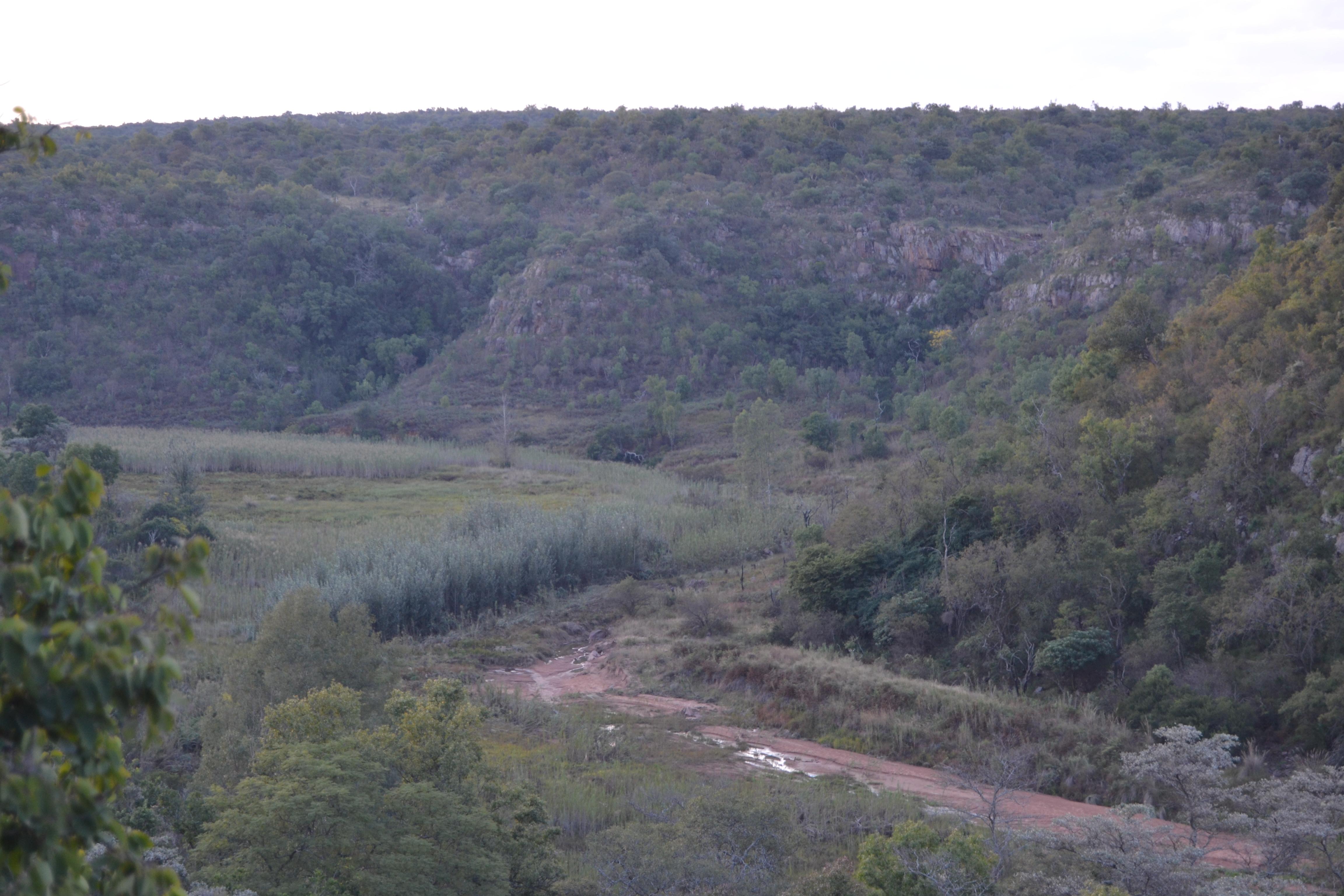  of property in Modimolle (Nylstroom)