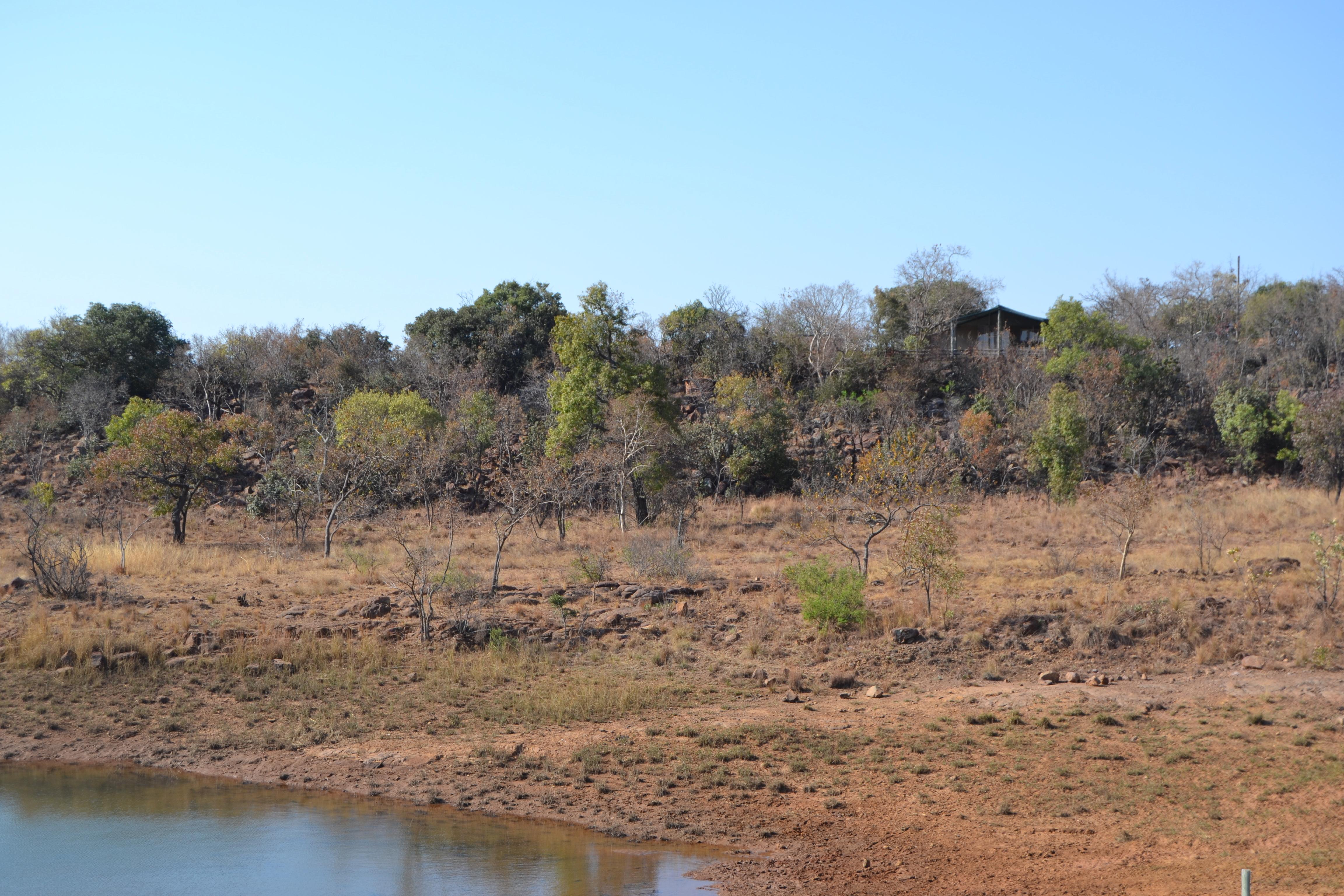  of property in Modimolle (Nylstroom)