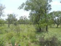 Land for Sale for sale in Vaalwater
