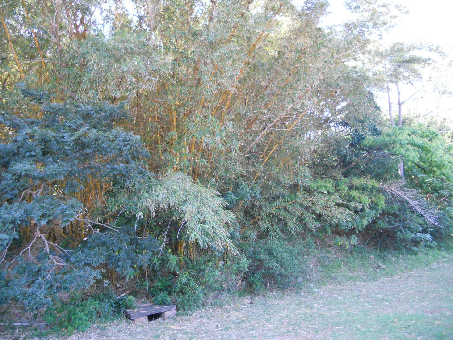 Front View of property in Warner Beach