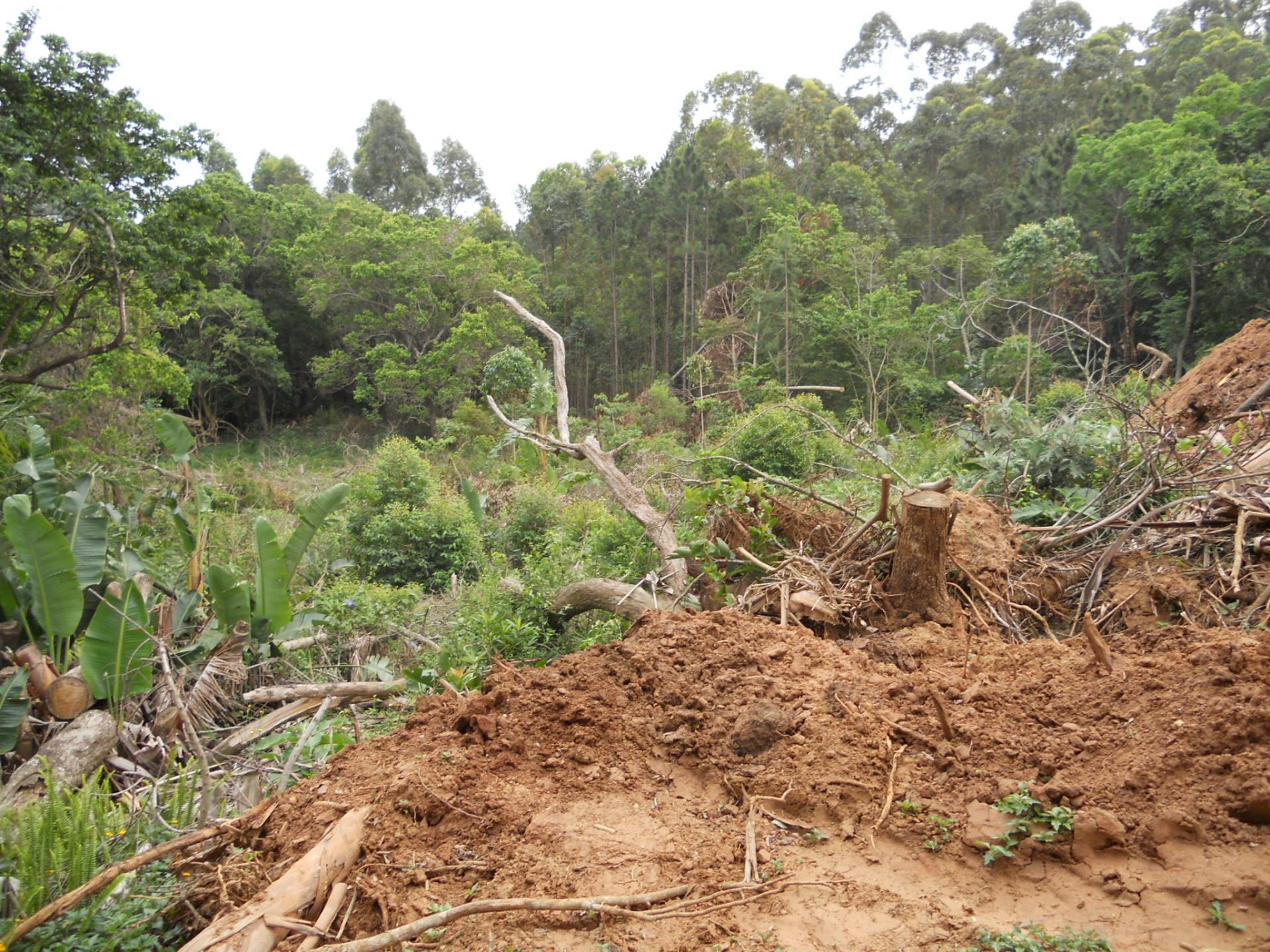 Front View of property in Ramsgate