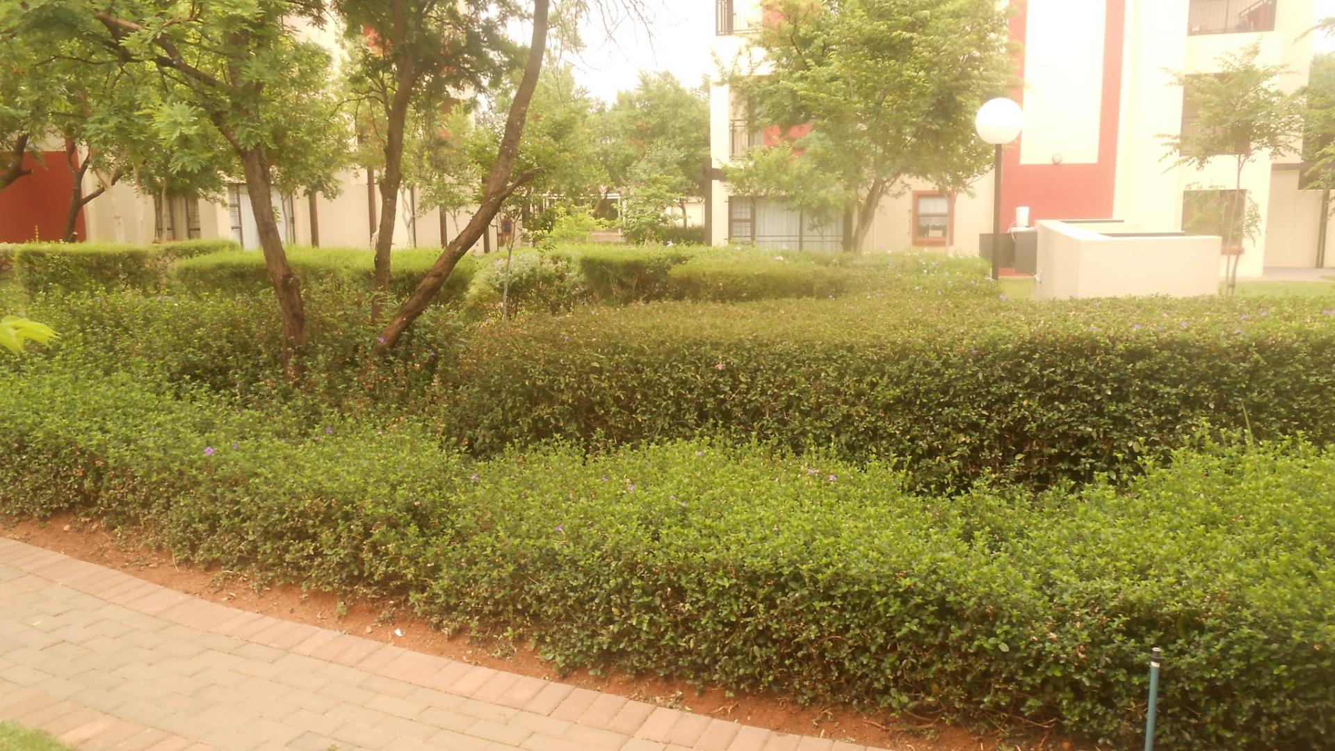 Backyard of property in Silver Lakes Golf Estate