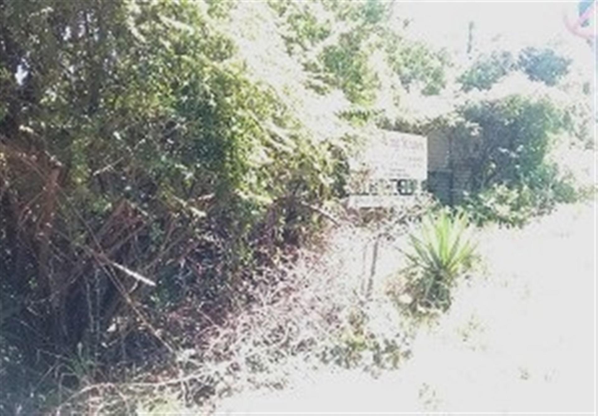 Front View of property in Cresta