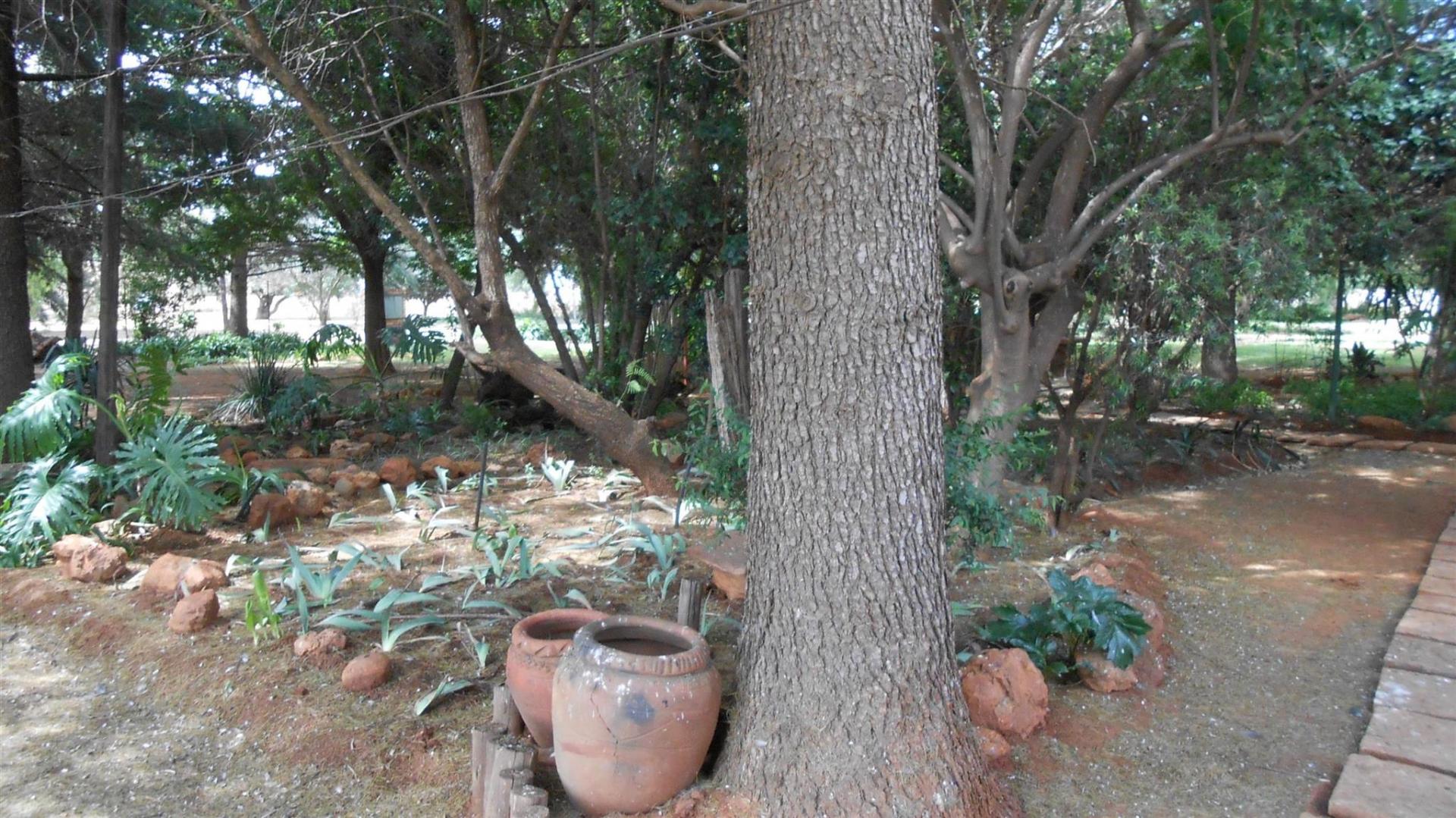 Garden of property in Eloff