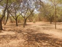 Backyard of property in Pretoria Rural