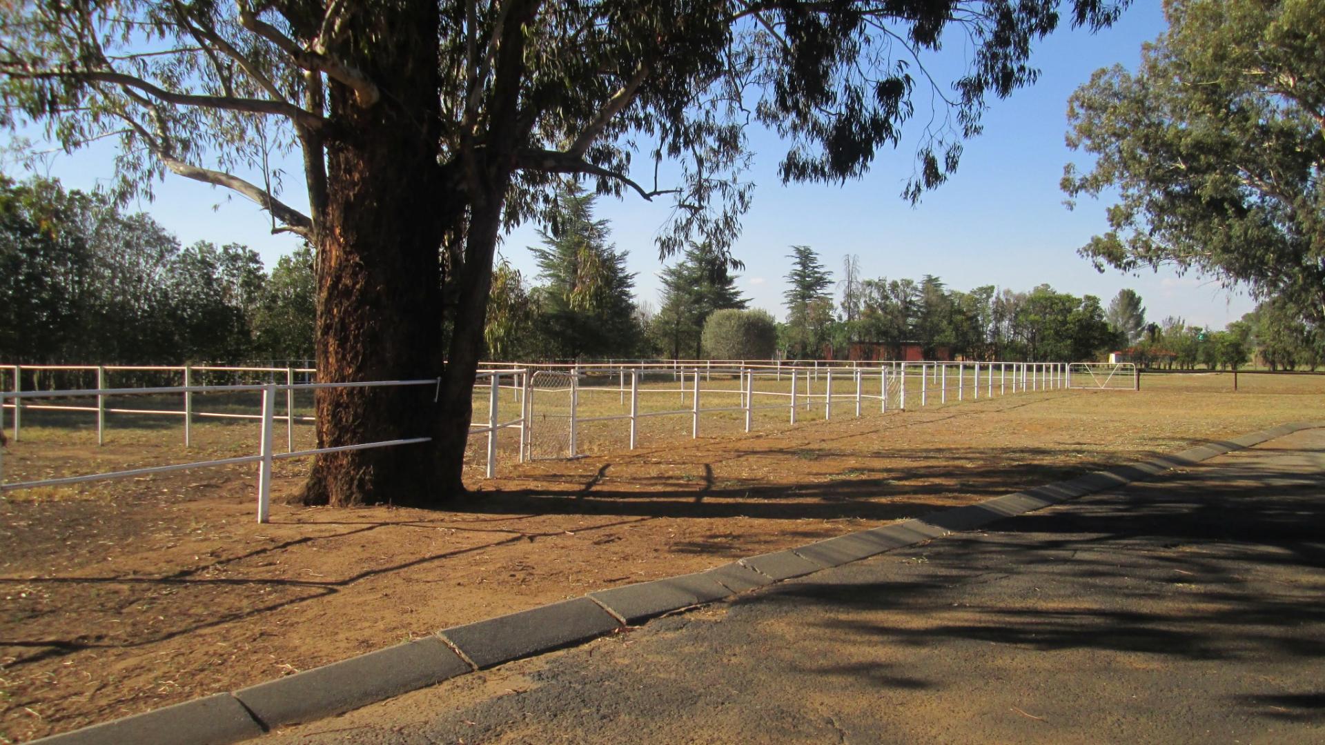 Spaces - 16 square meters of property in Buyscelia AH