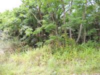 Land for Sale for sale in Palm Beach