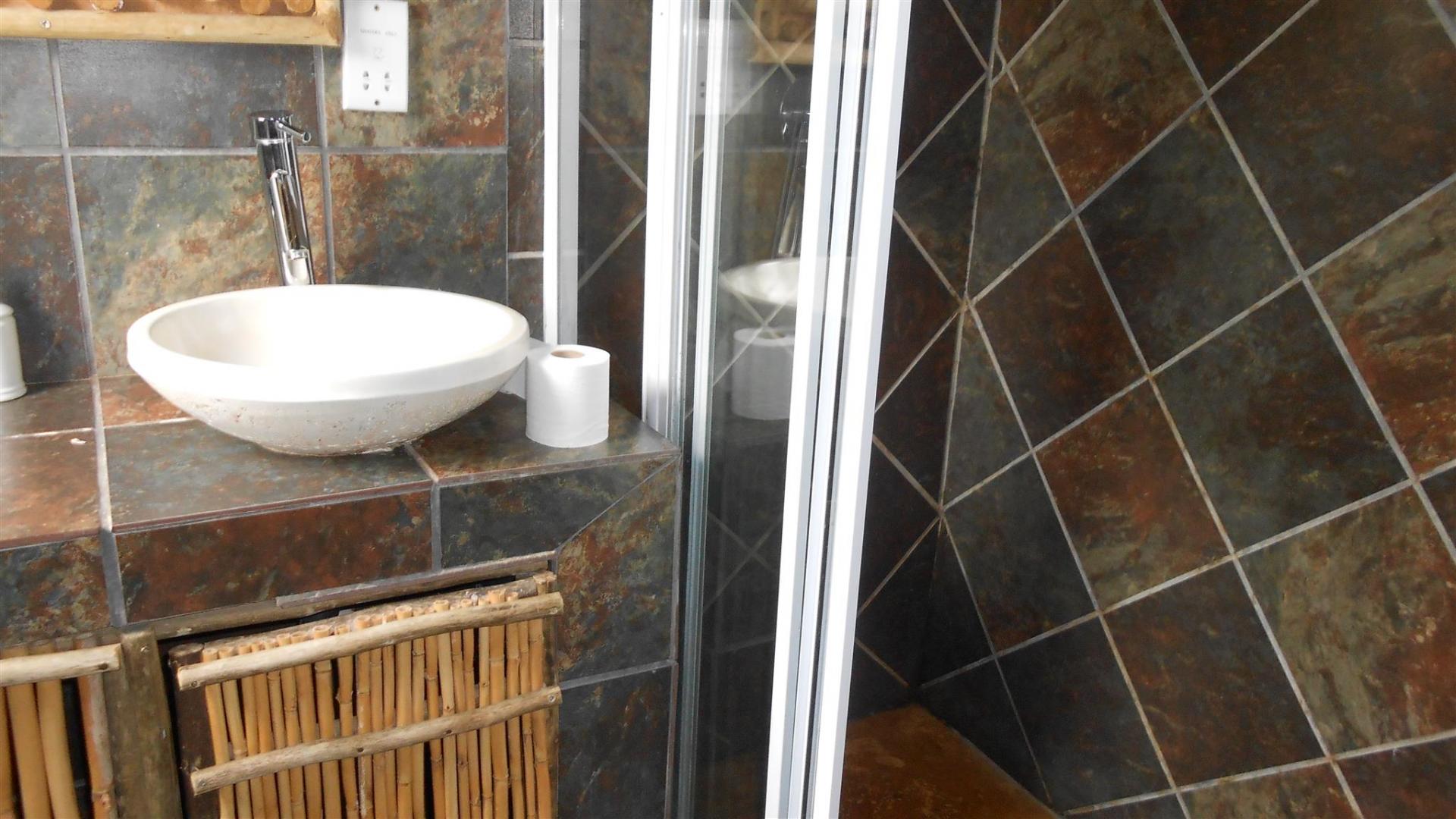 Bathroom 3+ - 30 square meters of property in Benoni