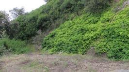 Land for Sale for sale in Wilderness