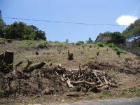 Front View of property in Margate