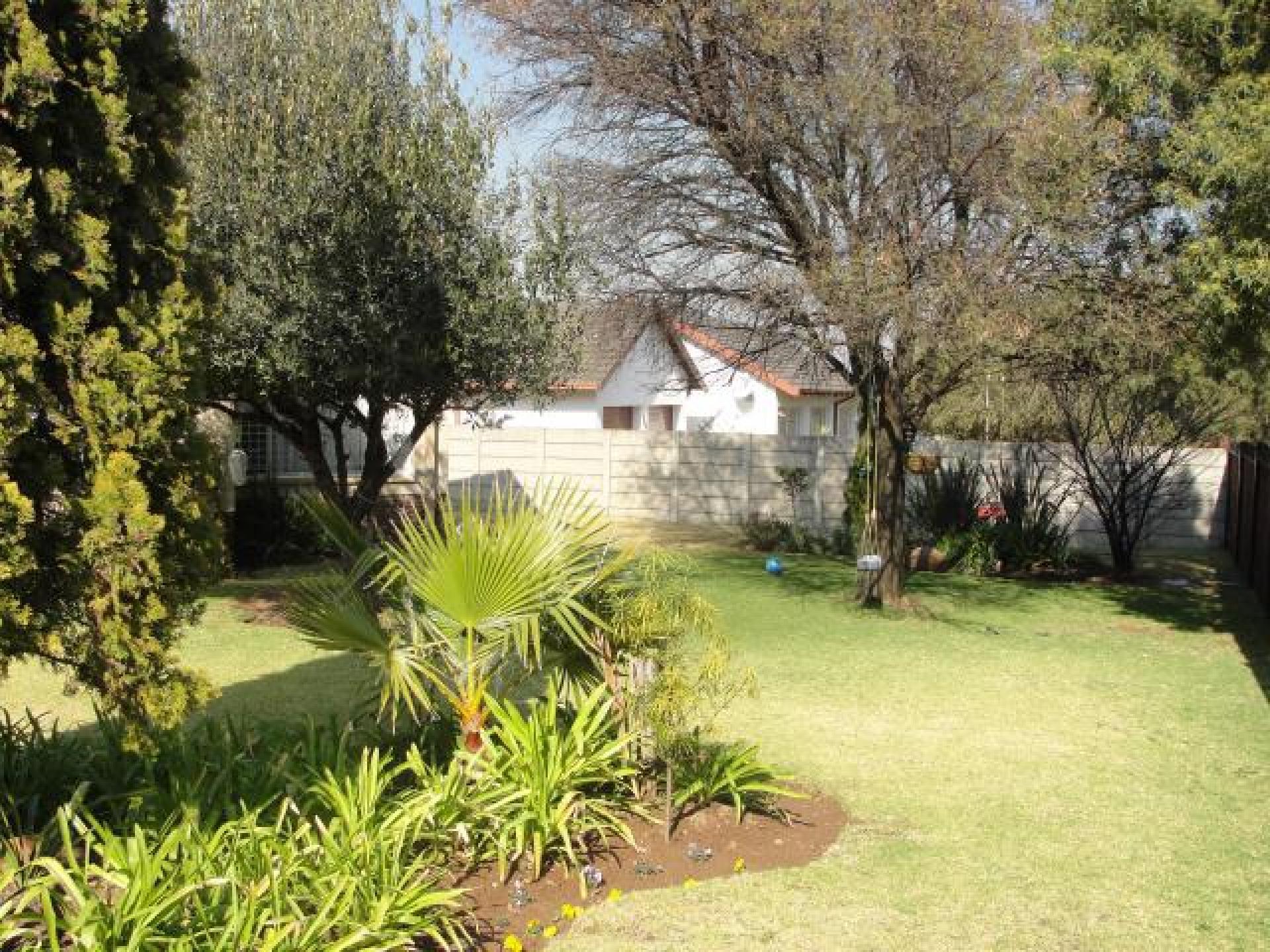 Backyard of property in Middelburg - MP