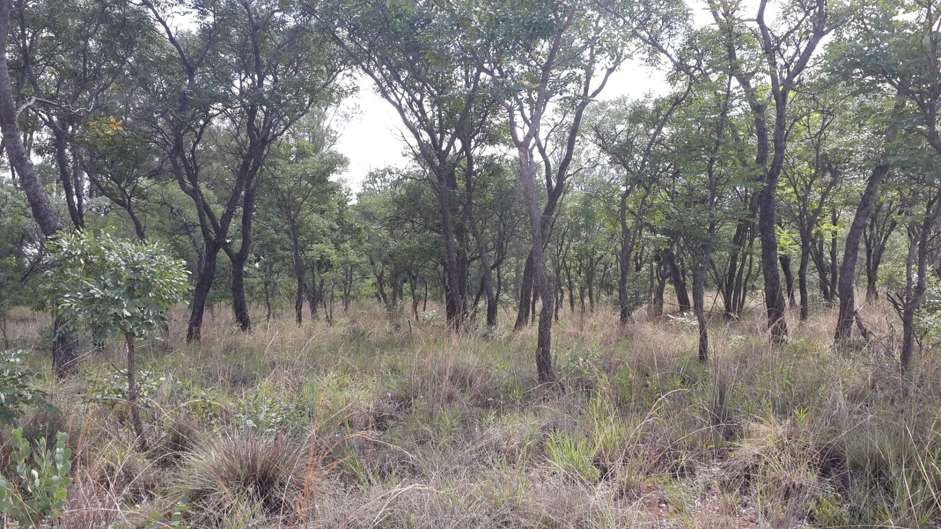 Front View of property in Mookgopong (Naboomspruit)