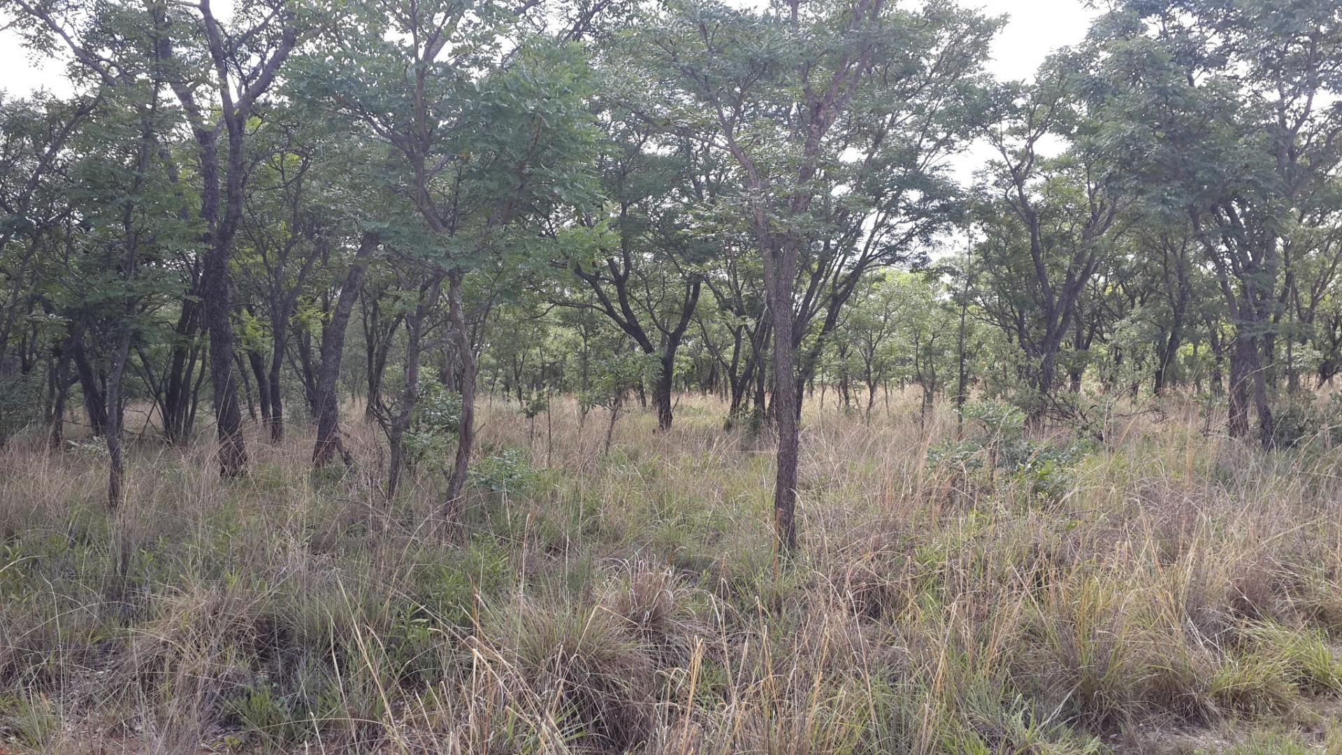 Front View of property in Mookgopong (Naboomspruit)