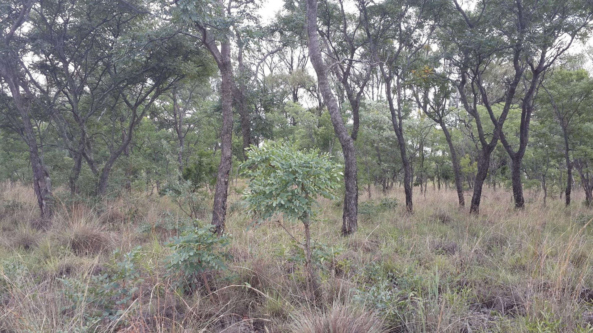 Front View of property in Mookgopong (Naboomspruit)