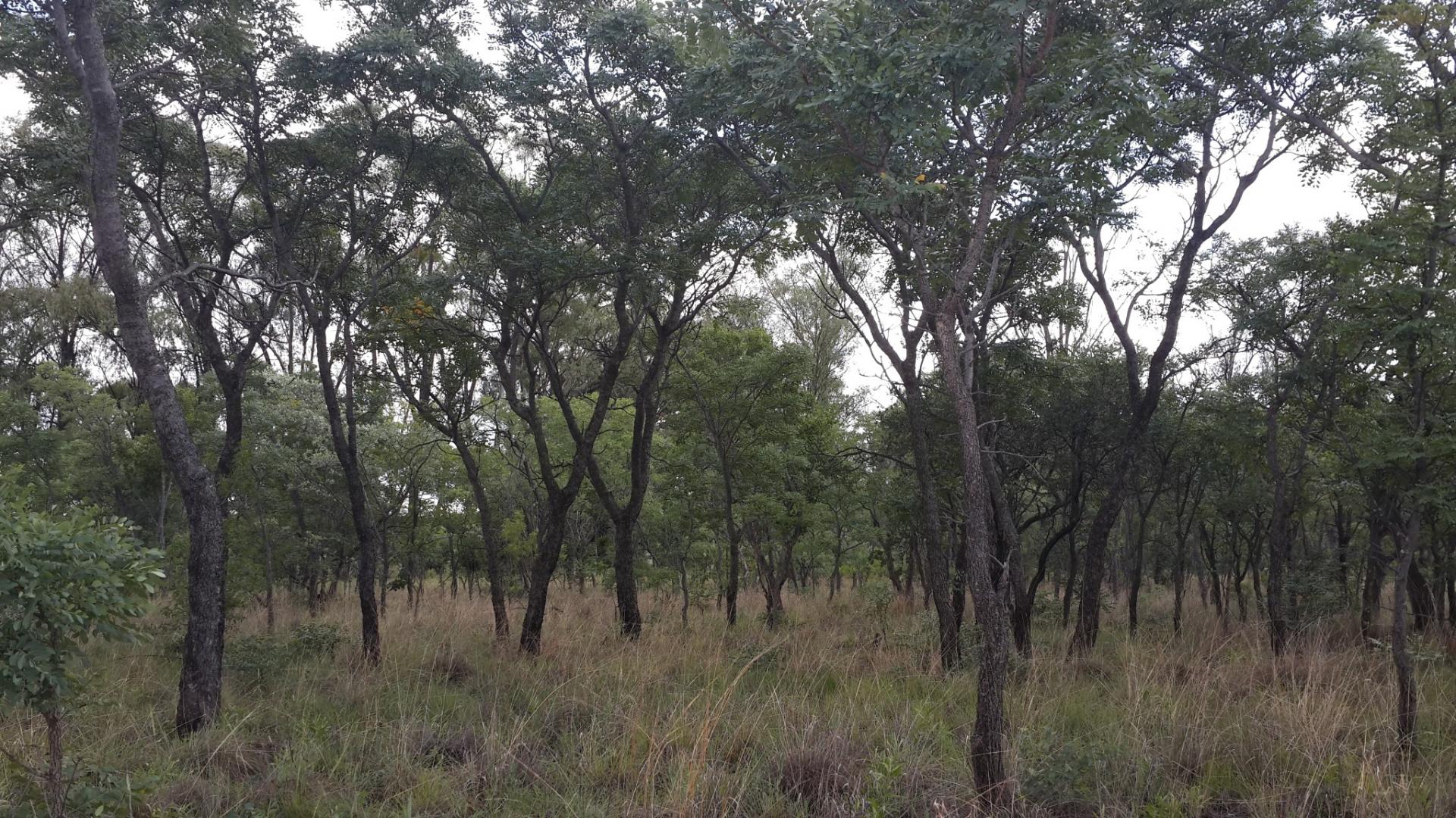 Front View of property in Mookgopong (Naboomspruit)