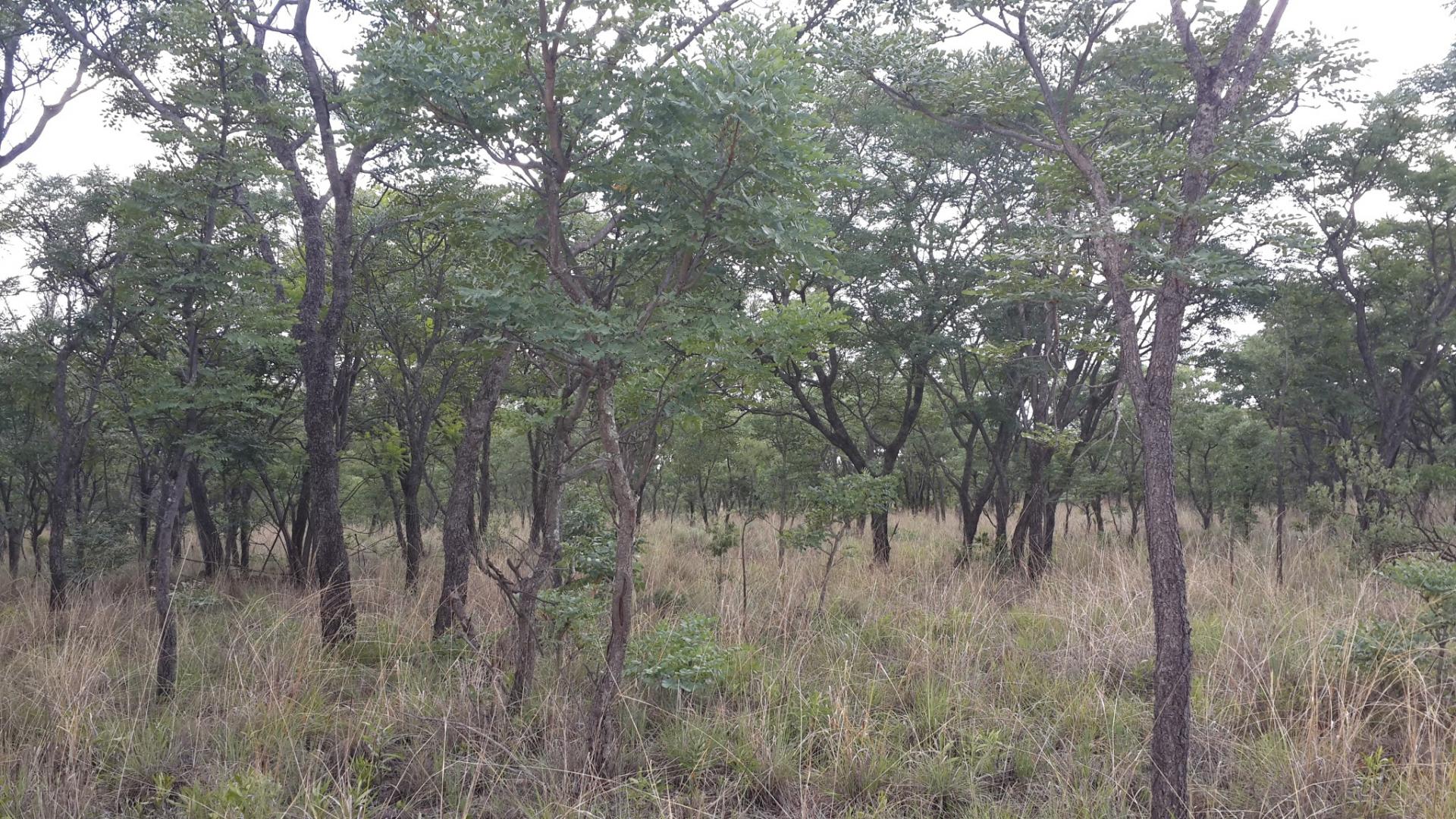 Front View of property in Mookgopong (Naboomspruit)