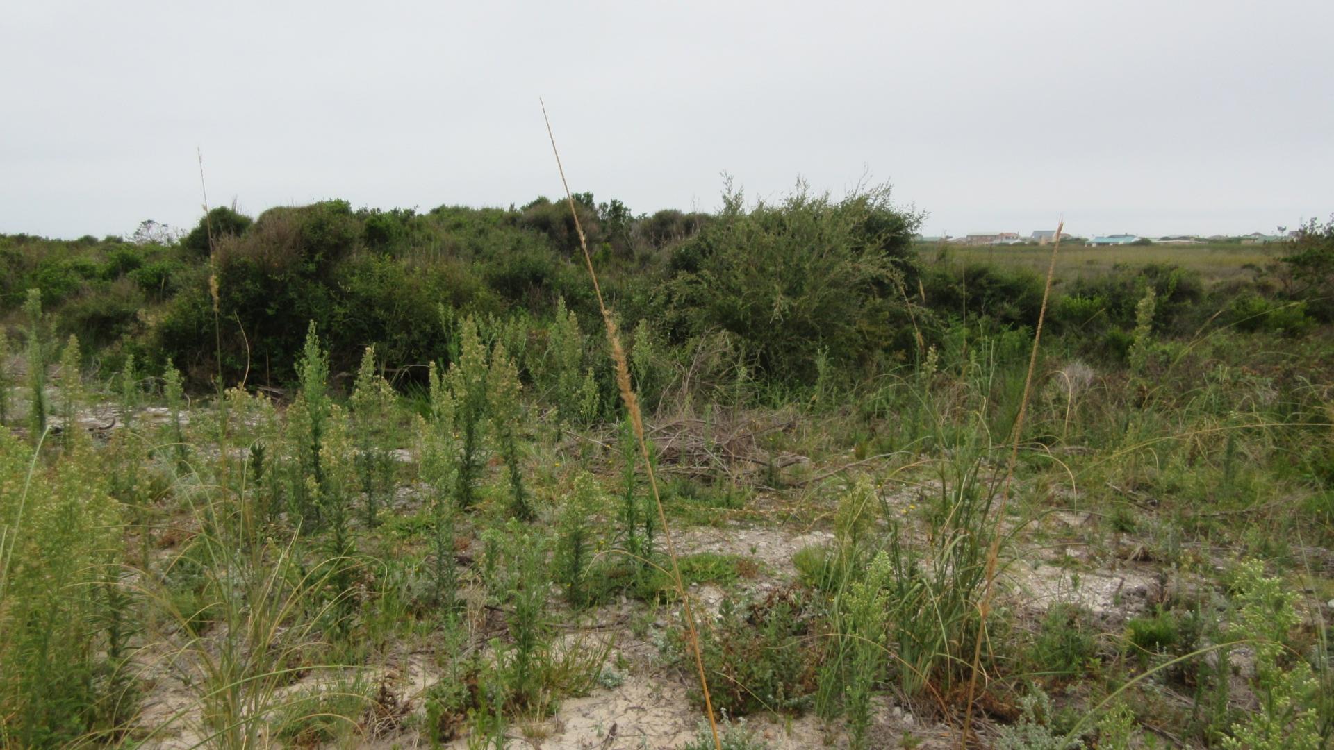 Front View of property in Bettys Bay