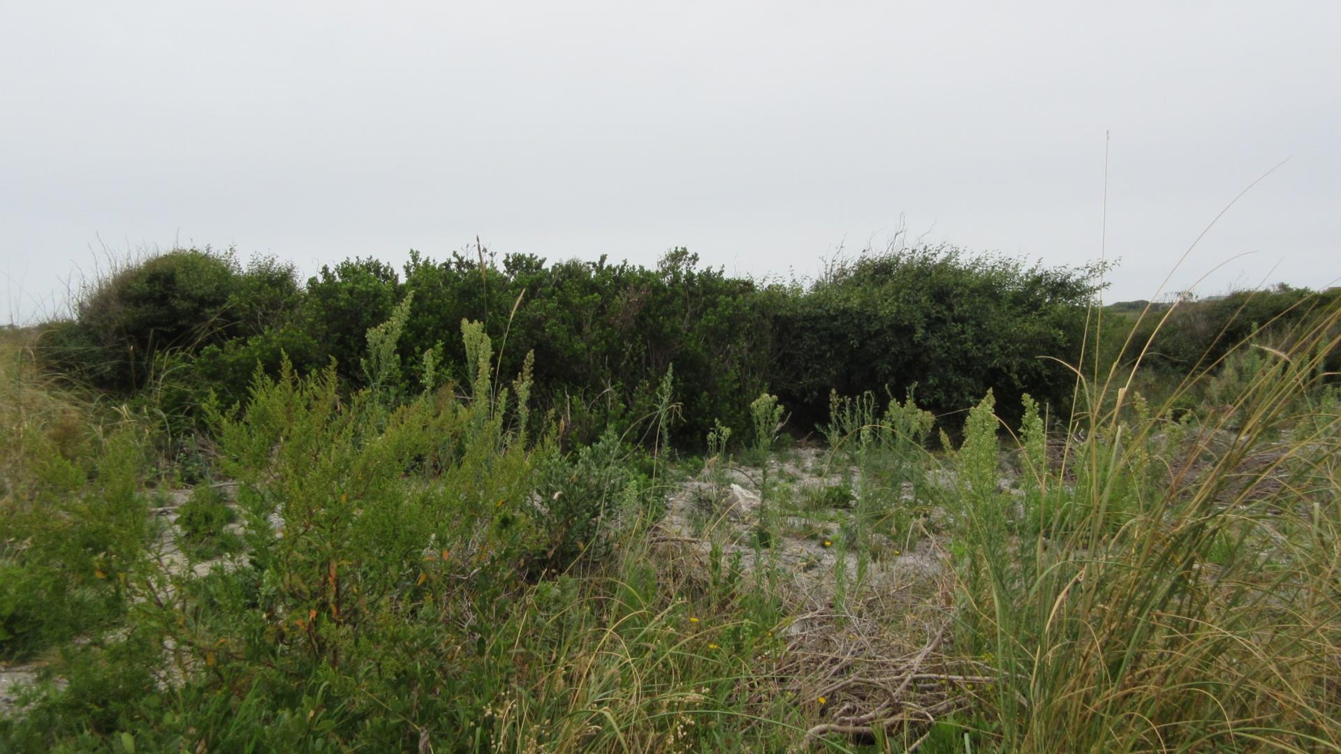 Front View of property in Bettys Bay