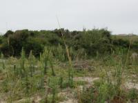 Front View of property in Bettys Bay