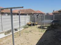 Backyard of property in Blackheath