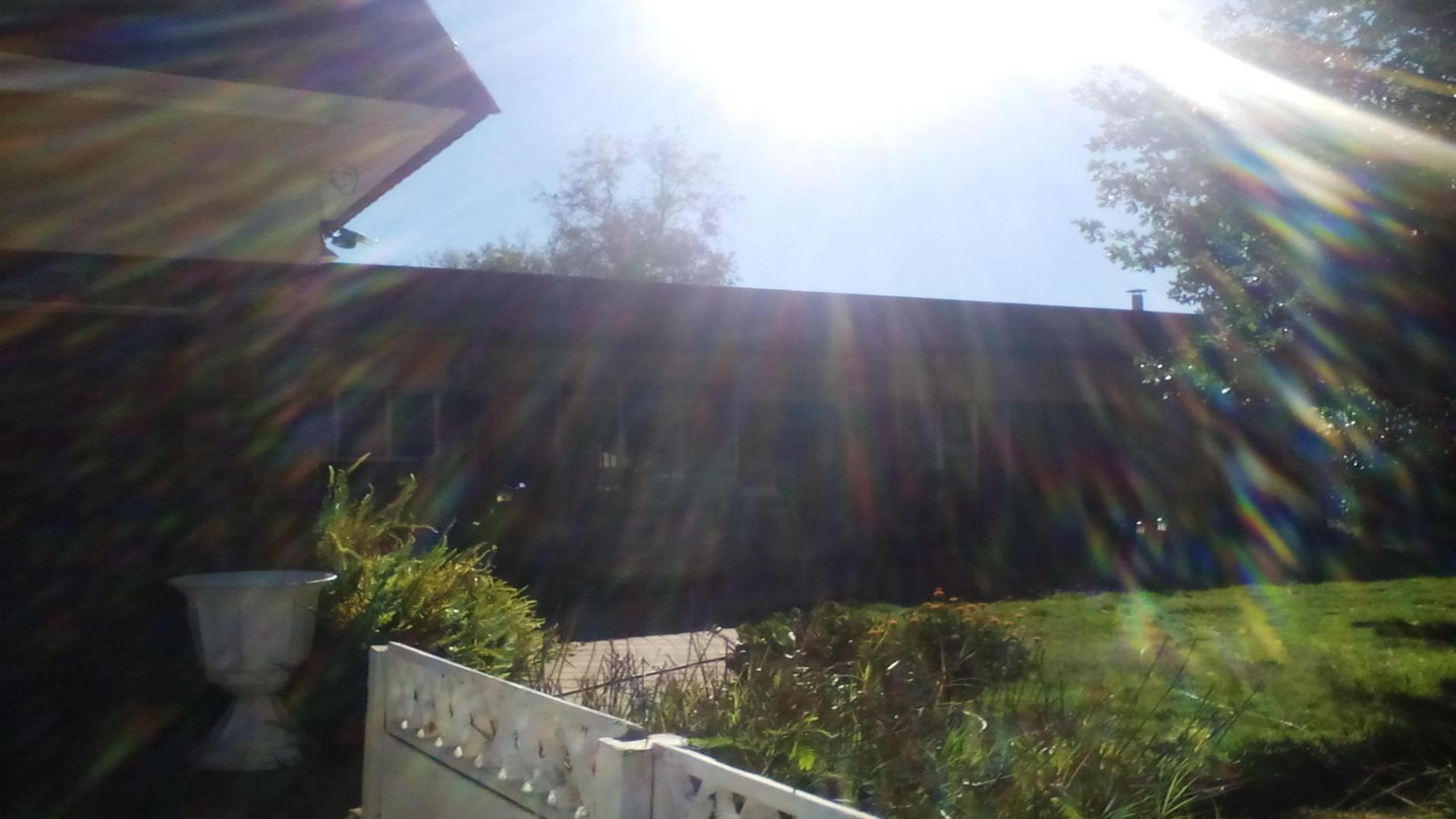 Backyard of property in Odendaalsrus