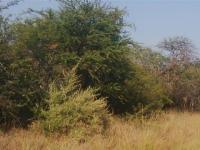 Land for Sale for sale in Mookgopong (Naboomspruit)