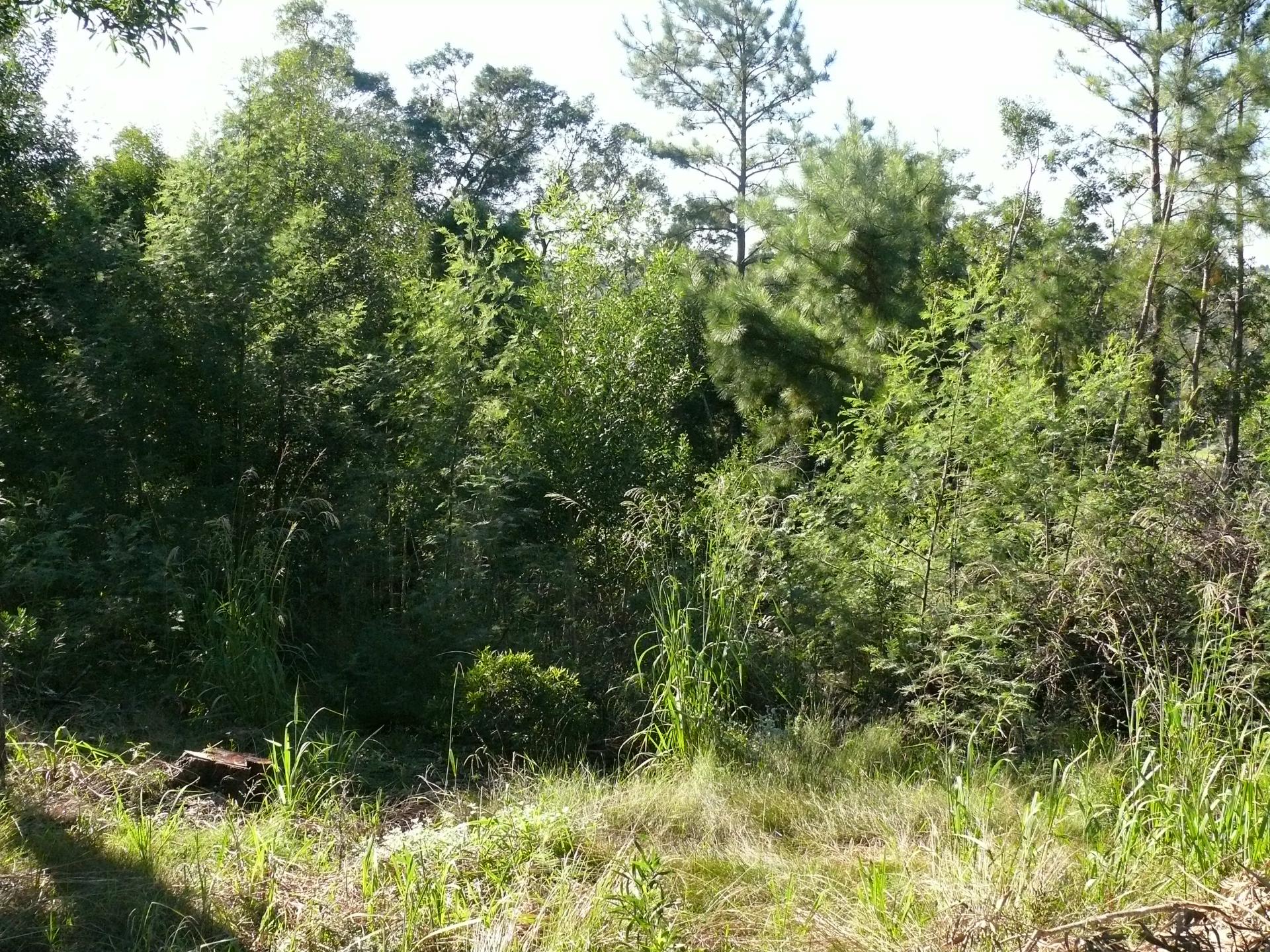 Front View of property in Wilderness