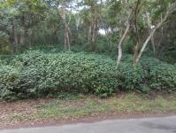 Land for Sale for sale in Pinetown 