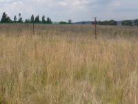 Land for Sale for sale in Farmall A.H.