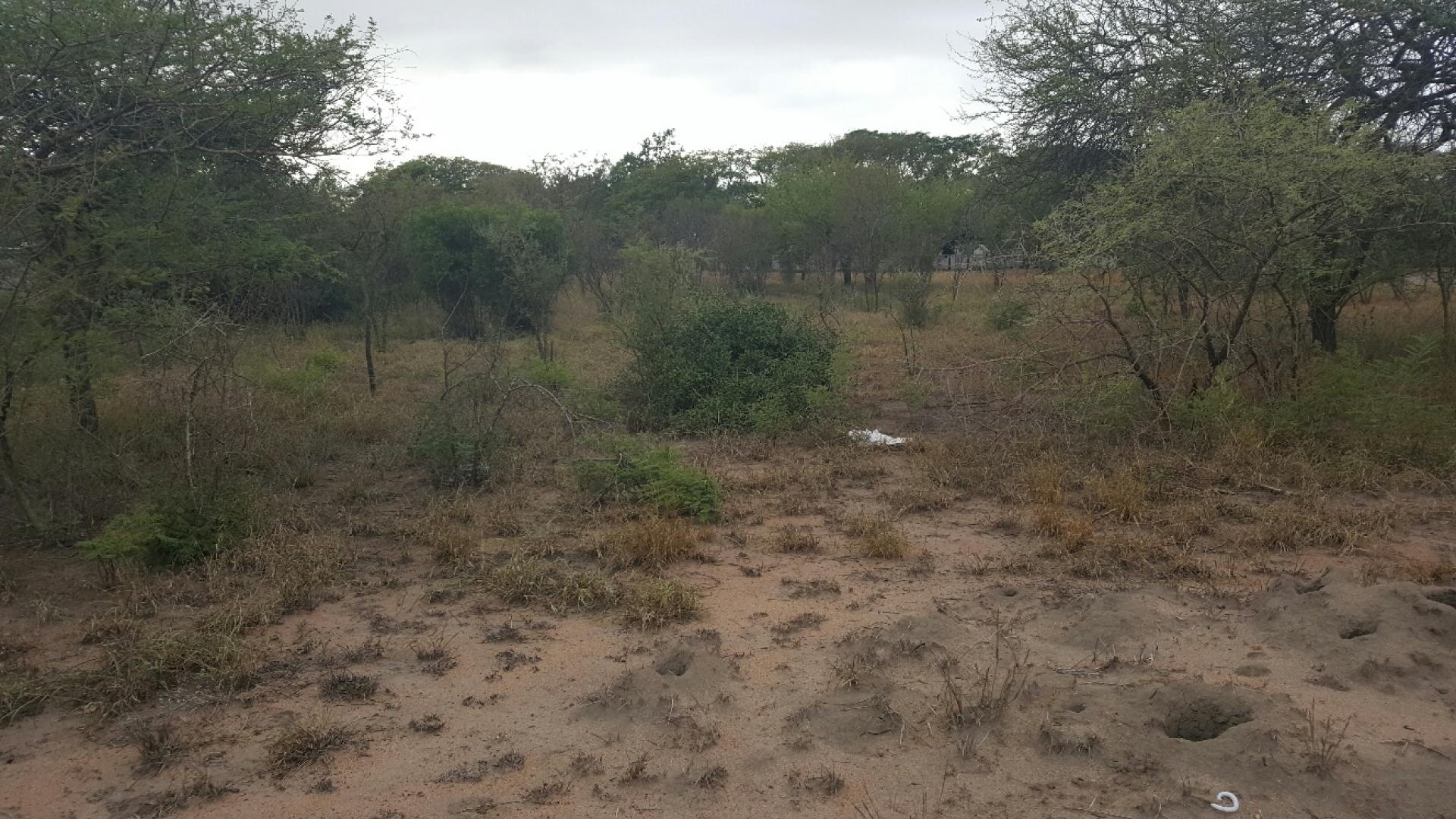 Front View of property in Hectorspruit