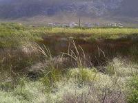 Front View of property in Bettys Bay