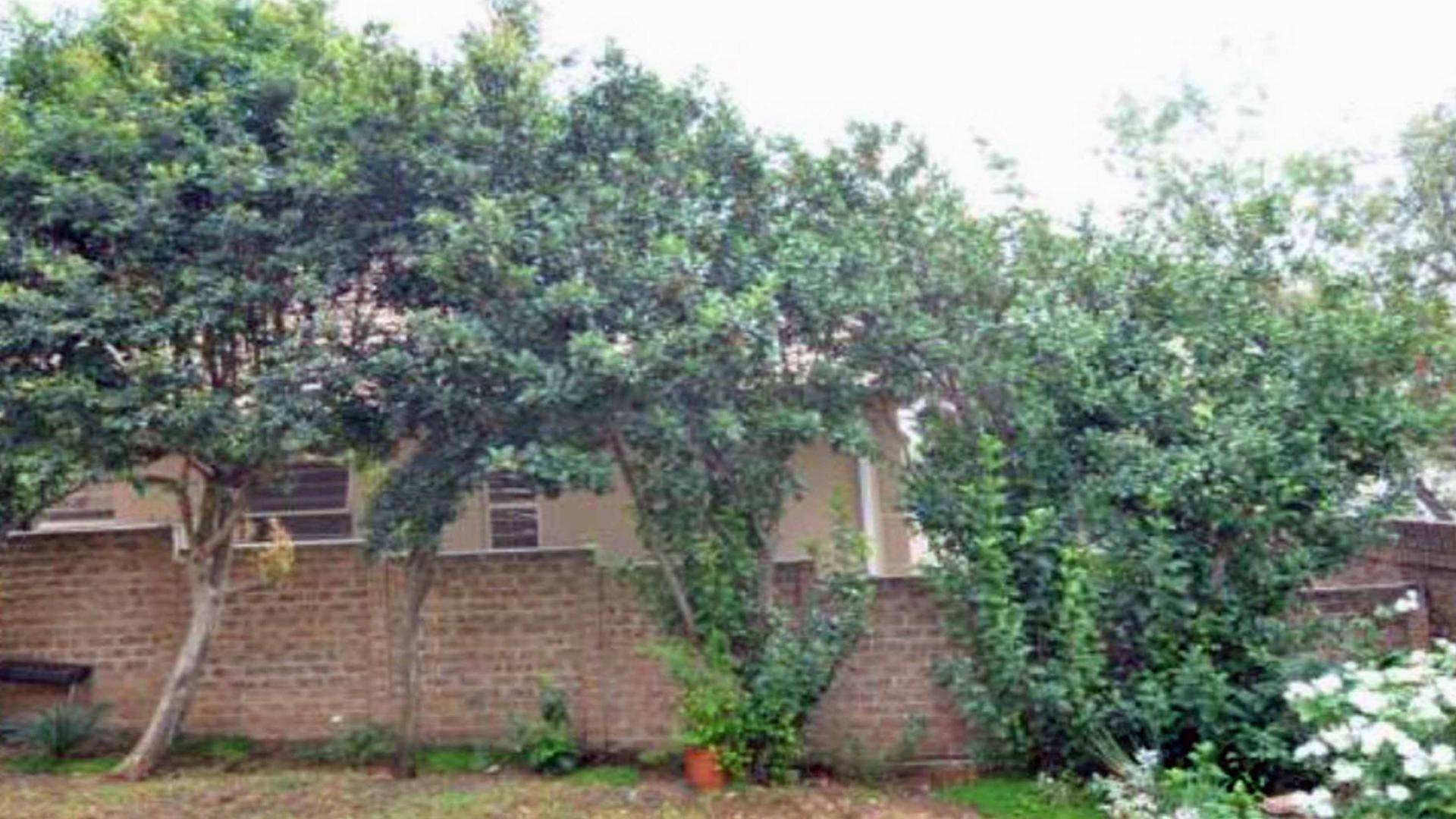 Backyard of property in Kengies