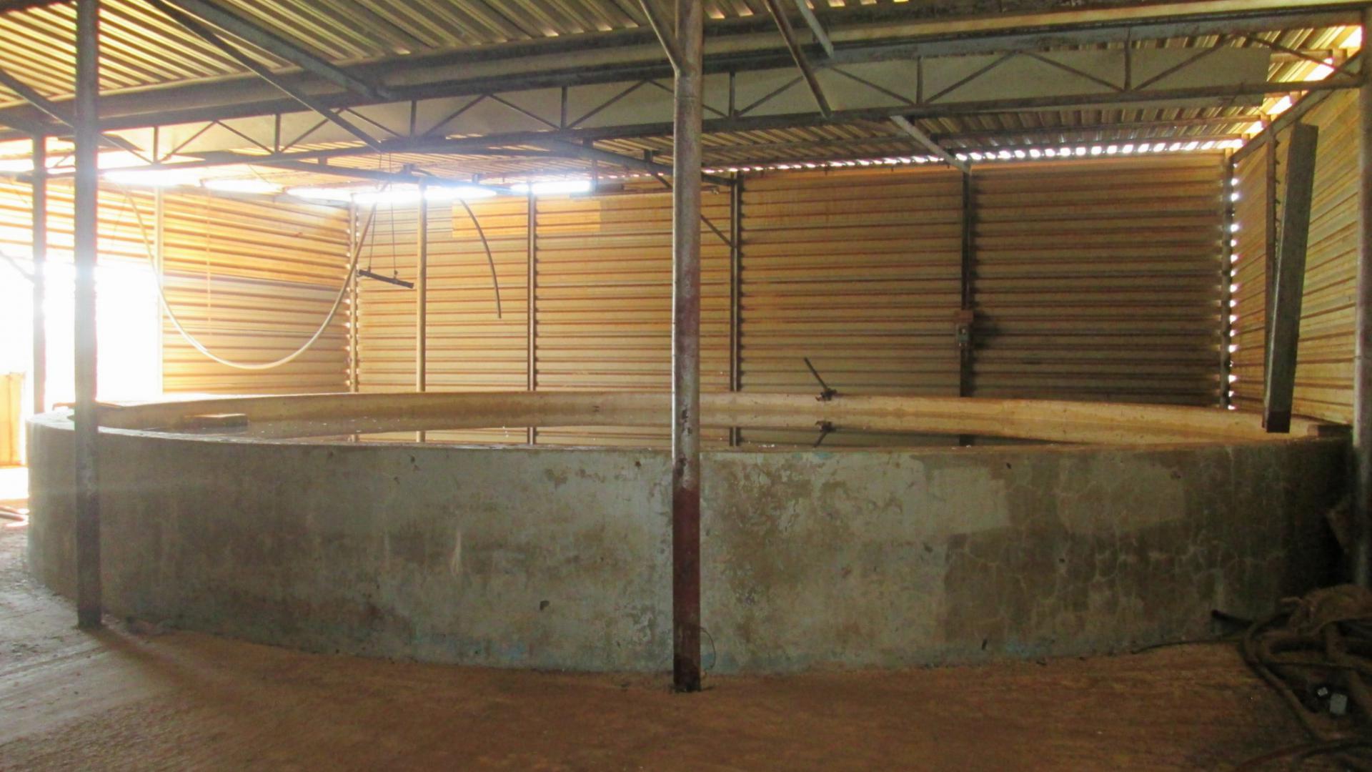 Backyard of property in Rosashof AH