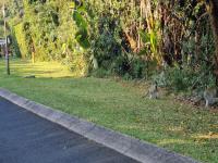 Front View of property in Port Edward