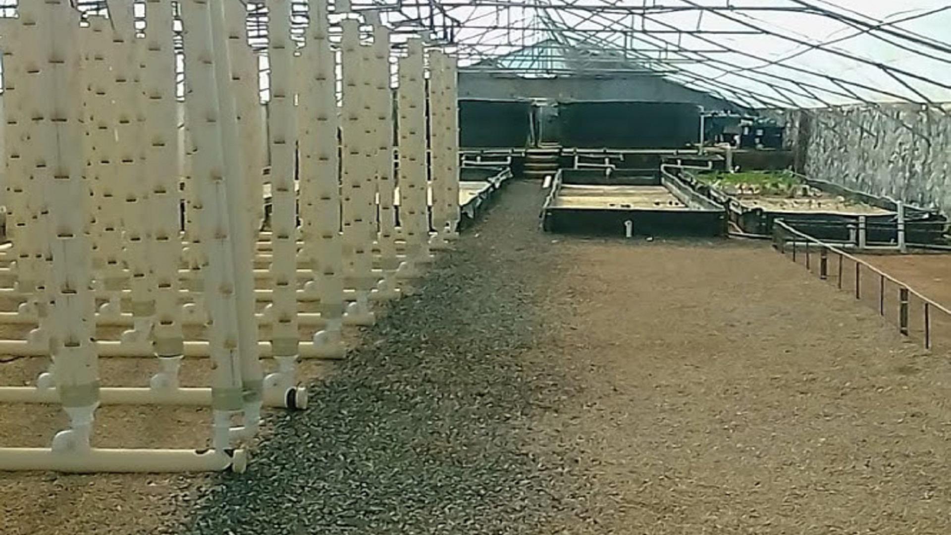 Spaces of property in Kameeldrift West