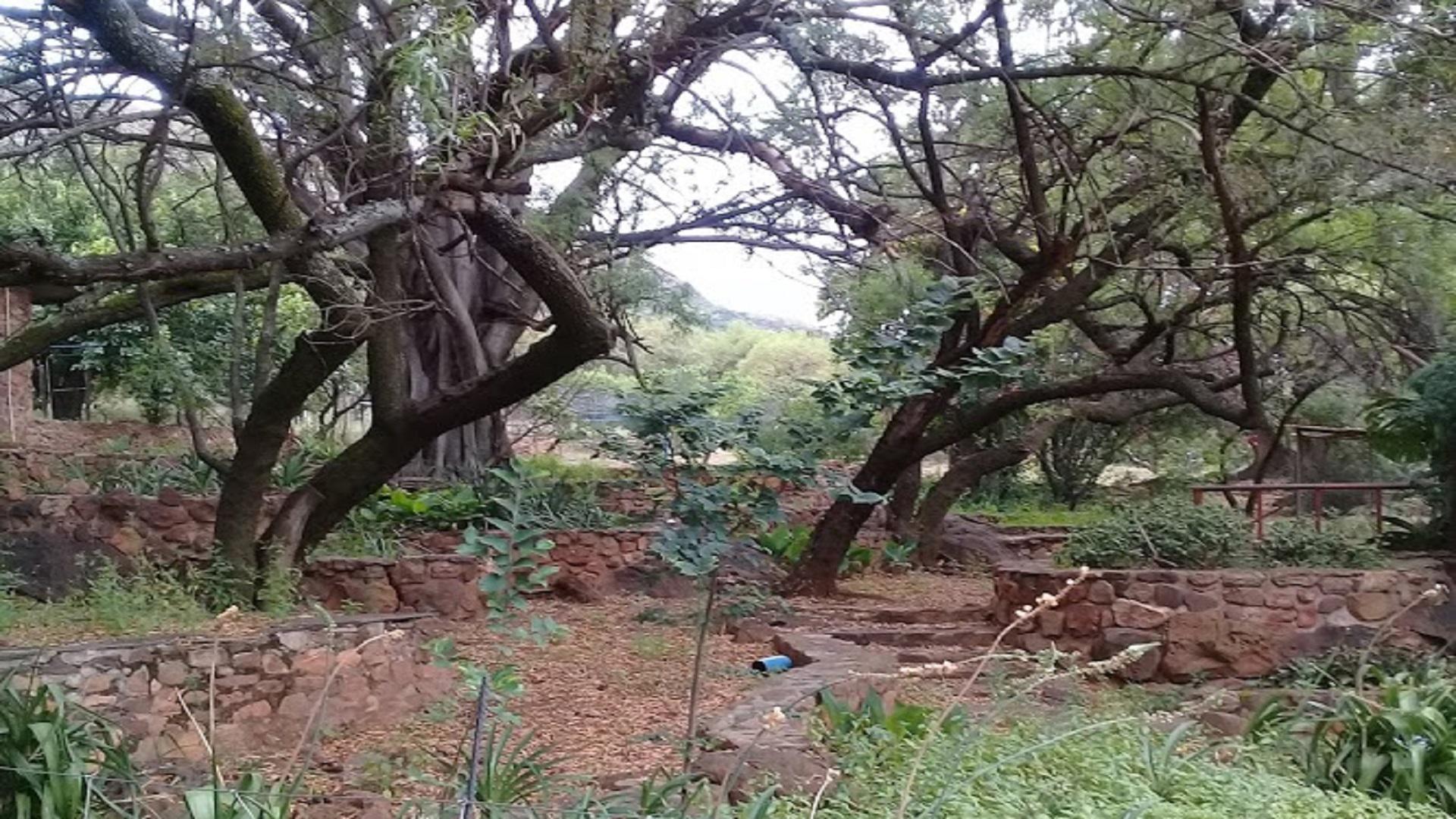 Garden of property in Kameeldrift West