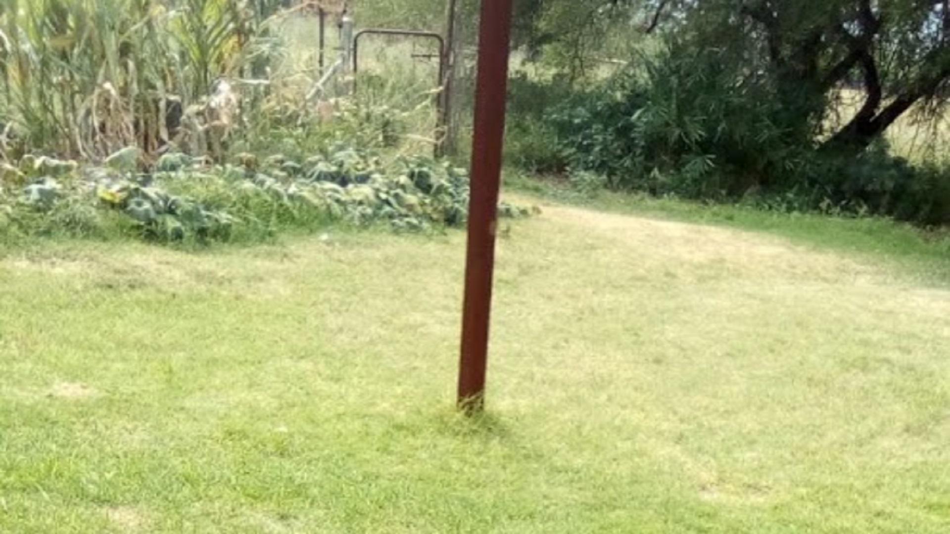 Backyard of property in Kameeldrift West