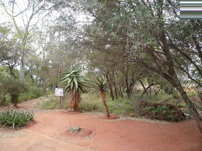  of property in Mookgopong (Naboomspruit)