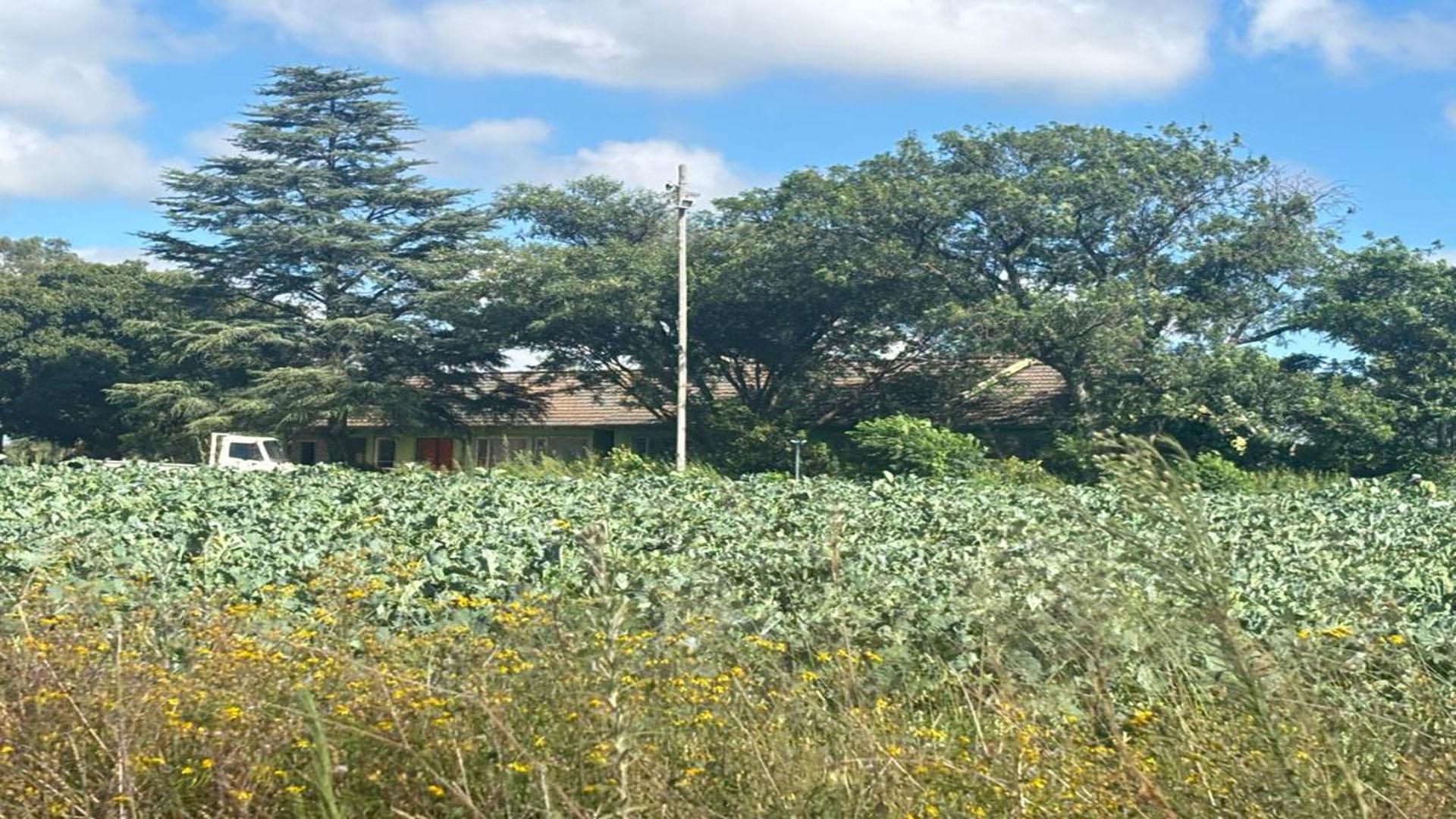 Front View of property in Tenacres AH