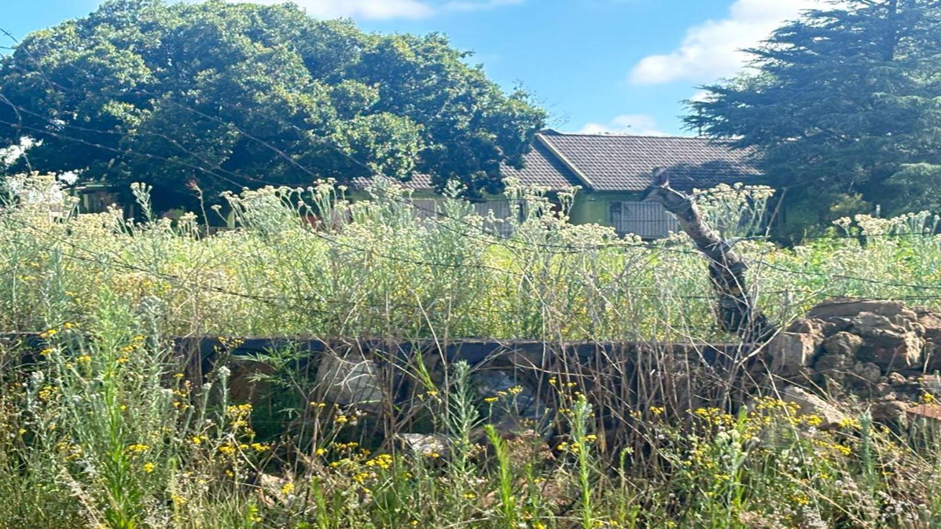 Front View of property in Tenacres AH