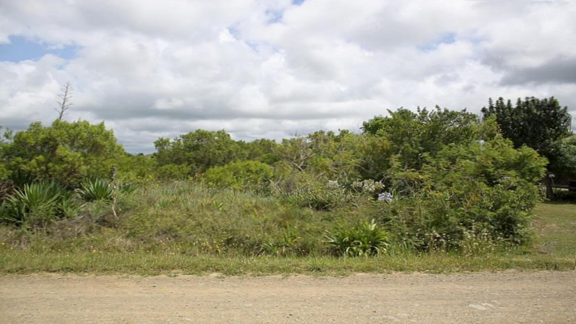 Front View of property in Bushmans River